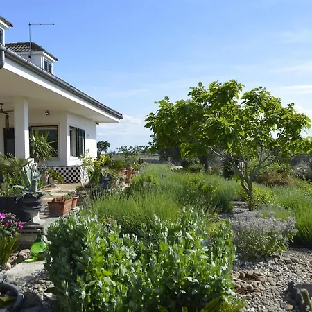 Bed&Breakfast Villa Lavanda-3